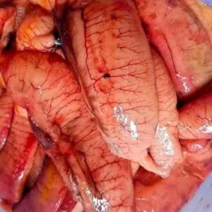 ১ কেজি ইলিশের ডিম।